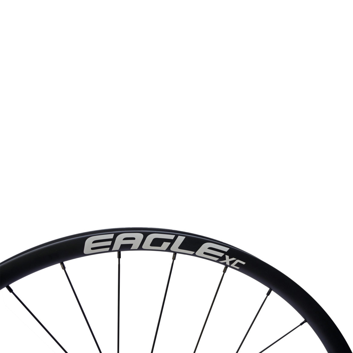 Eagle XC MTB Carbon Wheel - White Logo
